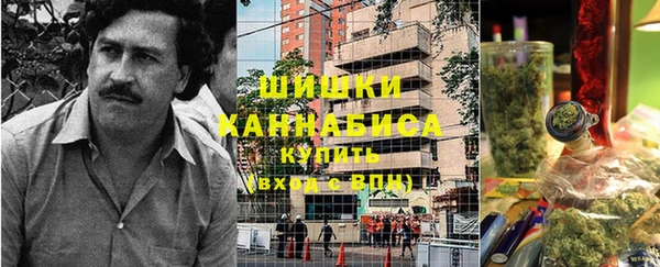 метадон Алексин