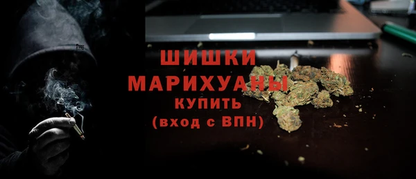 мет Дмитров