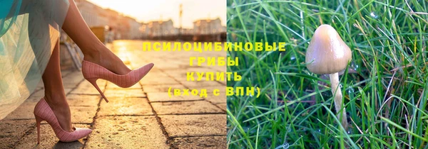 MDMA Дмитриев