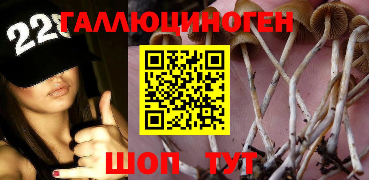 Псилоцибиновые грибы ЛСД  Вход с VPN  Чапаевск 